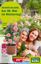 Pflanzen-Kölle Gartencenter Pflanzen Kölle: Am 8.Mai ist Muttertag - bis 08.05.2022