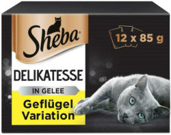 Sheba Delikatesse in Gelee Geflügel Variation 12er