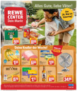 REWE Markt REWE: Wochenangebote - bis 28.05.2022