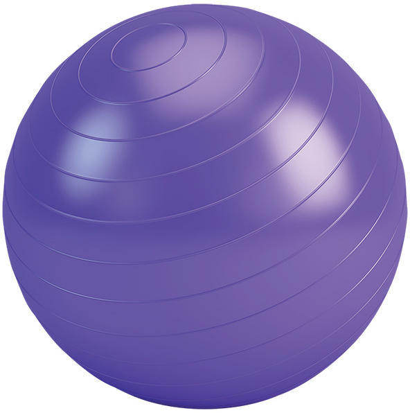 Ballon gonflage FIT FOR LIFE FIT-BALL