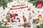 dm-drogerie markt Dein Bestes Adventskalender für Katzen Wunderbare Miaunachtszeit - bis 13.10.2022