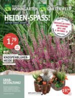 Oldenburger Wohngarten GmbH & Co. KG Heiden-Spass! - bis 05.10.2022