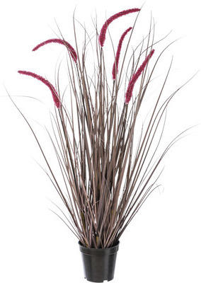 Kunstgras Pennisetum rubrum im Topf Höhe: 89 cm rot
