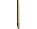 Hornbach Bambusstab 180 cm Ø 12/14 mm 1 Stk., natur