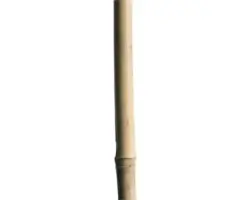 Bambusstab 180 cm Ø 12/14 mm 1 Stk., natur