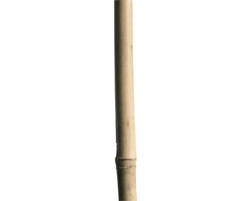 Bambusstab 90 cm 6/8 mm, natur