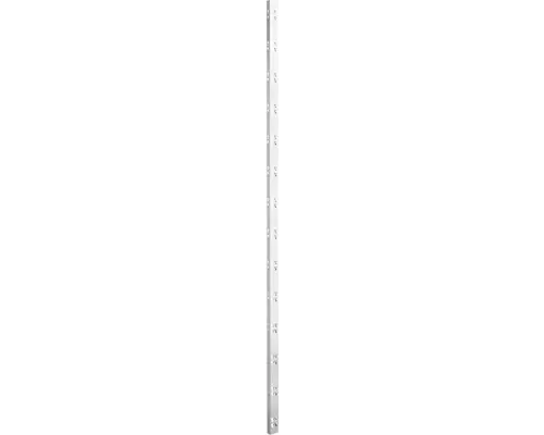 Vario C-Profil Schulte Stecksystem 42x1950x28 mm verzinkt