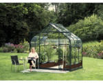 Hornbach Gewächshaus Vitavia Diana 5000 Einscheibensicherheitsglas 3 mm 264x195 cm grün