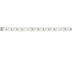 LED Stripe Paulmann MaxLED 500 24 V 580 lm 3 K warmweiß neutralweiß tageslichtweiß IP 44 1 m