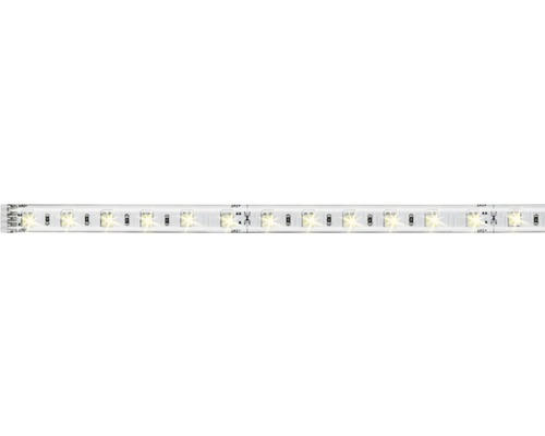 LED Stripe Paulmann MaxLED 500 24 V 580 lm 3 K warmweiß neutralweiß tageslichtweiß IP 44 1 m