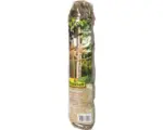 Hornbach Kokosgarn FloraSelf mittelstark 15 m natur