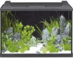 Hornbach Aquarium EHEIM aquaproLED 84 mit LED-Beleuchtung, Filter, Heizer, Thermometer, Fangnetz ohne Unterschrank schwarz
