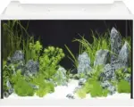 Hornbach Aquarium EHEIM aquaproLED 84 mit LED-Beleuchtung, Filter, Heizer, Thermometer, Fangnetz ohne Unterschrank weiß