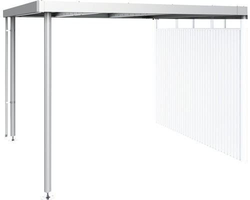 Dachanbau Biohort HighLine 282 x 315 x 222 cm silber