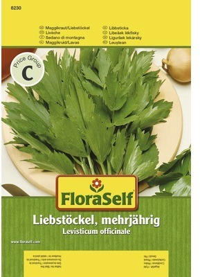 Liebstöckel, Maggikraut 'Mehrjährig' FloraSelf samenfestes Saatgut