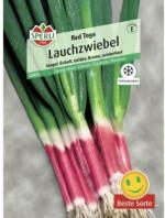 Hornbach Lauchzwiebel 'Red Toga' Gemüsesamen