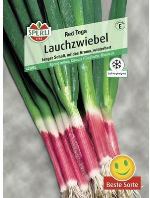 Lauchzwiebel 'Red Toga' Gemüsesamen
