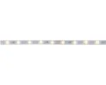Hornbach MaxLED 250 Strip IP44 1,0 m 4W 300 lm 2700 K warmweiß Protect Cover 30 LED´s beschichtet 24V geeignet als Erweiterung zu Basisset