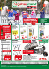 Hagebau Lieb Markt Flugblatt - gültig bis 19.11.