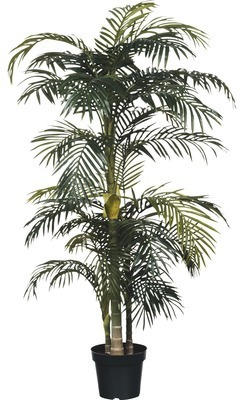 Kunstpalme Goldfruchtpalme Arecapalme golden Cane Ø 100 cm Höhe: 160 cm grün