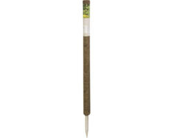 Kokosstab Pflanzstab Kokos FloraSelf Nature H 110 cm Ø 4,5 mm braun, verlängerbar