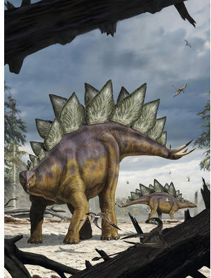 Fototapete Vlies Into Adventure Stegosaurus 2-tlg. 184 x 248 cm