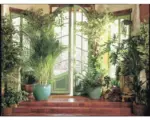 Hornbach Fototapete Vlies 18300 Larit Jardin 7-tlg. 350 x 260 cm