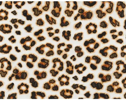 Wassertransferdruck Folie Leopard CD-165 50x100 cm
