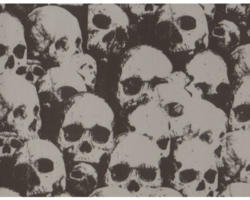 Wassertransferdruck Folie Skulls CD-296 50x100 cm