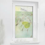 POCO Einrichtungsmarkt Hamburg-Halstenbek LICHTBLICK Fensterfolie Schmetterling grün B/L: ca. 50x50 cm
