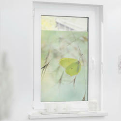 LICHTBLICK Fensterfolie Schmetterling grün B/L: ca. 100x100 cm