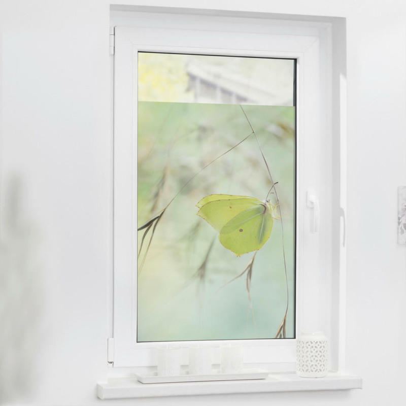 LICHTBLICK Fensterfolie Schmetterling grün B/L: ca. 50x50 cm