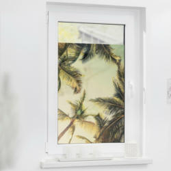 LICHTBLICK Fensterfolie Palmen grün B/L: ca. 100x100 cm