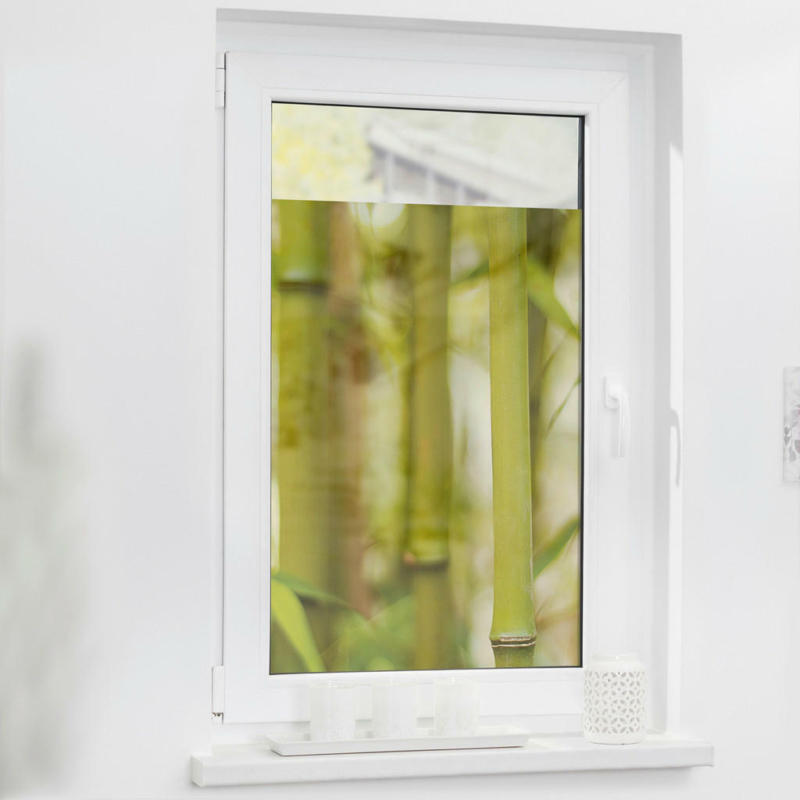 LICHTBLICK Fensterfolie Floral grün B/L: ca. 100x100 cm
