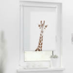 POCO Leer Verdunkelungsrollo Giraffe braun B/L: ca. 80x150 cm