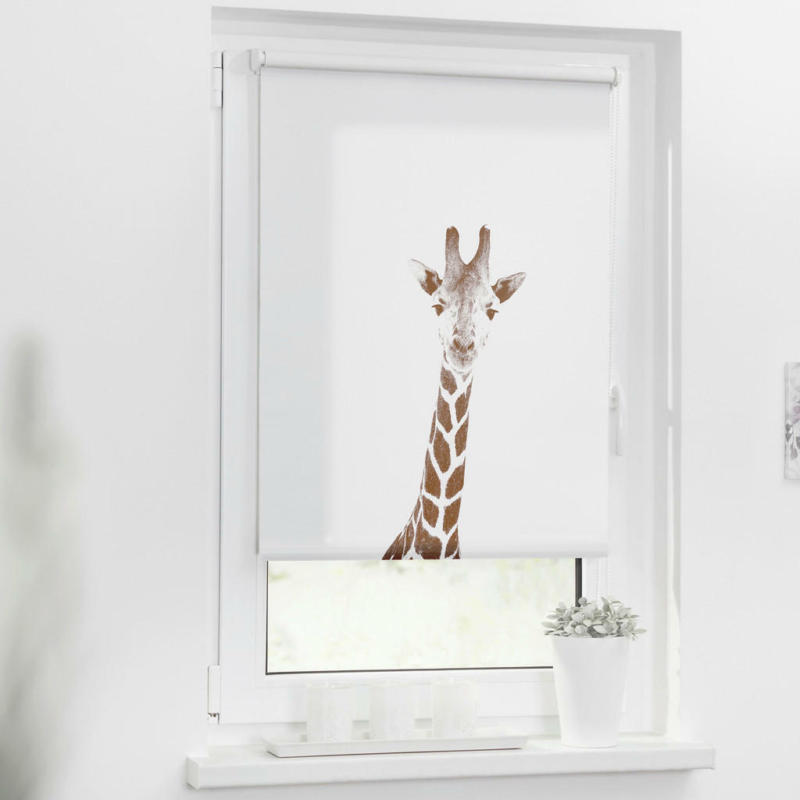Verdunkelungsrollo Giraffe braun B/L: ca. 45x150 cm