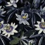 XXXLutz Lauterach - Ihr Möbelhaus bei Bregenz Fototapete 200/280 cm