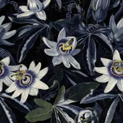 Fototapete 200/280 cm