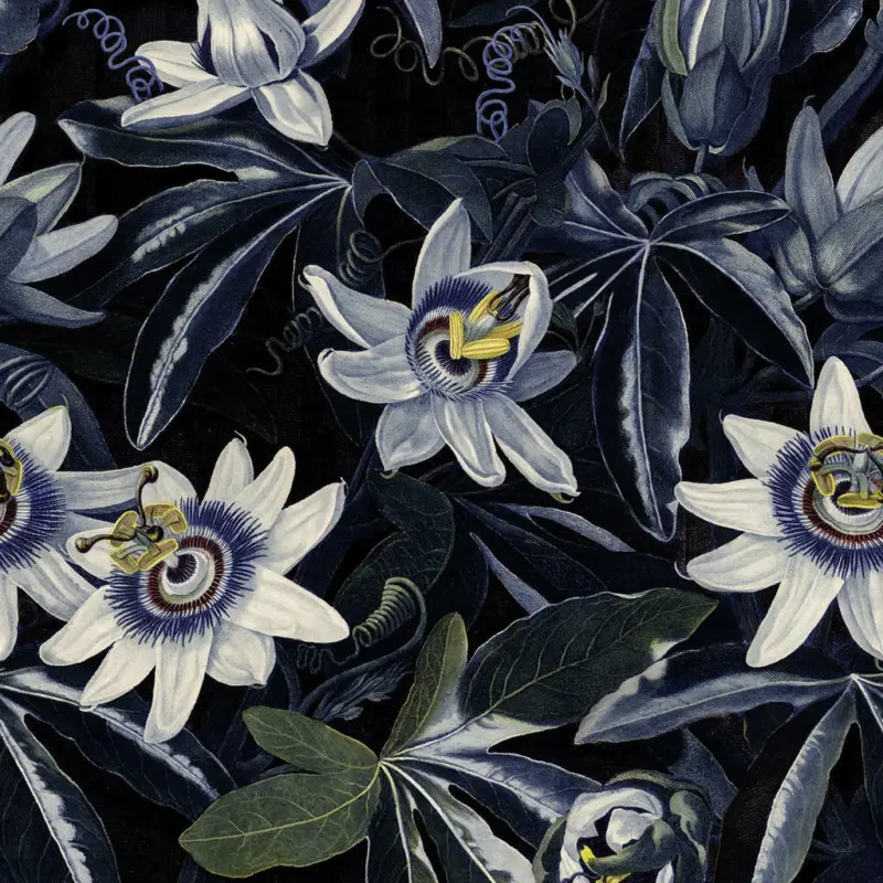 Fototapete 200/280 cm