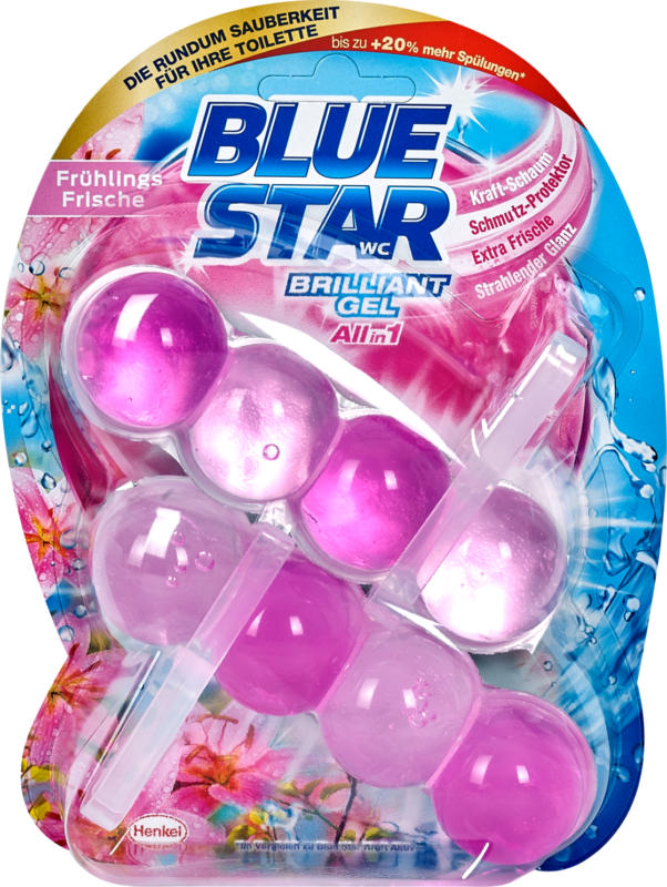 BLUE STAR WC-STeine Brilliant Gel All In 1 Frühlingsfrische