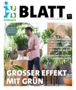 Blumen Ostmann GmbH GROßER EFFEKT MIT GRÜN - bis 18.01.2023