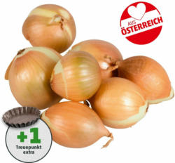 Ich bin Österreich Zwiebeln gelb