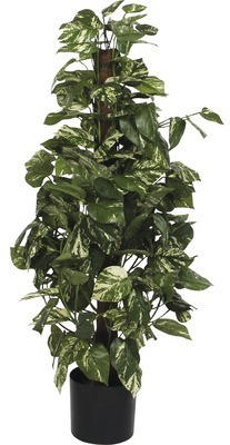 Kunstpflanze Efeutute Scindapsus Ø 45 H 110 cm grün