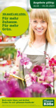 Pflanzen-Kölle Gartencenter Pflanzen Kölle: Grünpflanzen - bis 05.03.2023