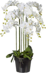 Kunstpflanze Orchidee Weiß H: 110 cm mit Topf