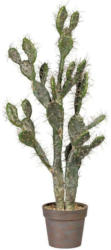 Kunstpflanze Kaktus Grün H: 102 cm mit Topf