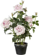 Möbelix Kunstpflanze Rosenbusch Rosa H: 68 cm mit Topf