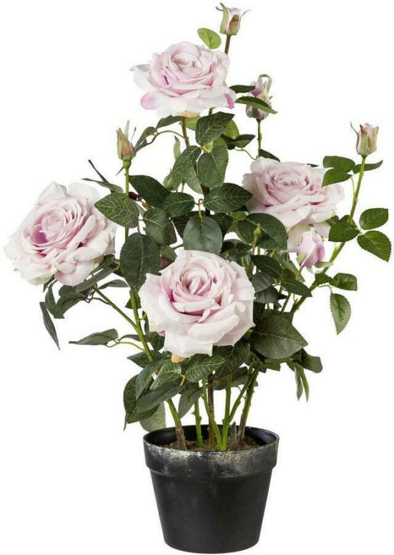 Kunstpflanze Rosenbusch Rosa H: 68 cm mit Topf