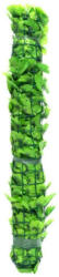 Sichtschutzhecke Labrusca Grün H: 100 cm