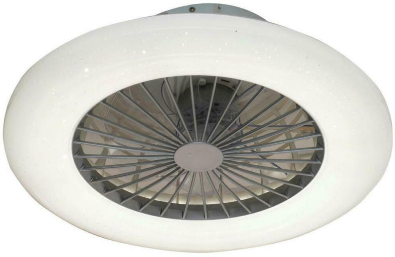 Deckenventilator Ryan Silber/ Weiß LED-Leuchte Fernbedienung